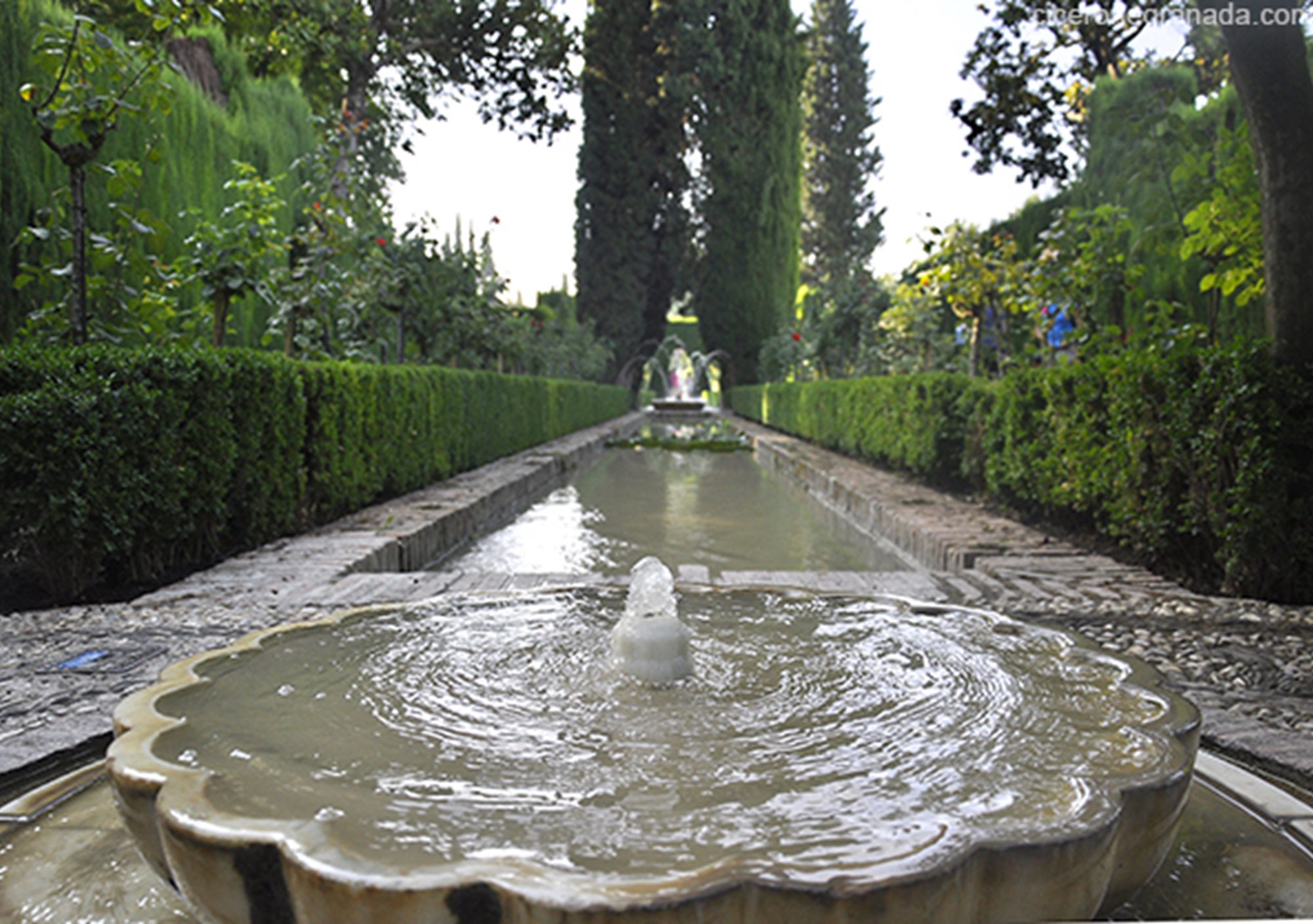 visitas guiadas Día completo en Granada tour privado Alhambra + centro Ciudad